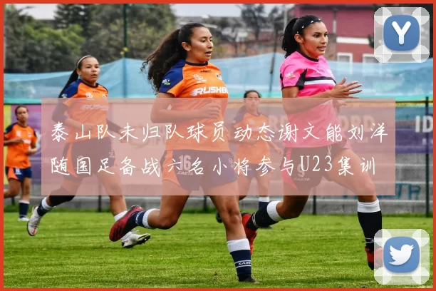 泰山队未归队球员动态谢文能刘洋随国足备战六名小将参与U23集训